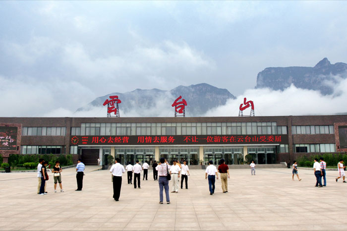 荷兰郁金香种球直采进口案例