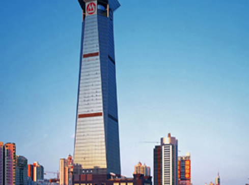 华南地区风信子种球批发配送案例