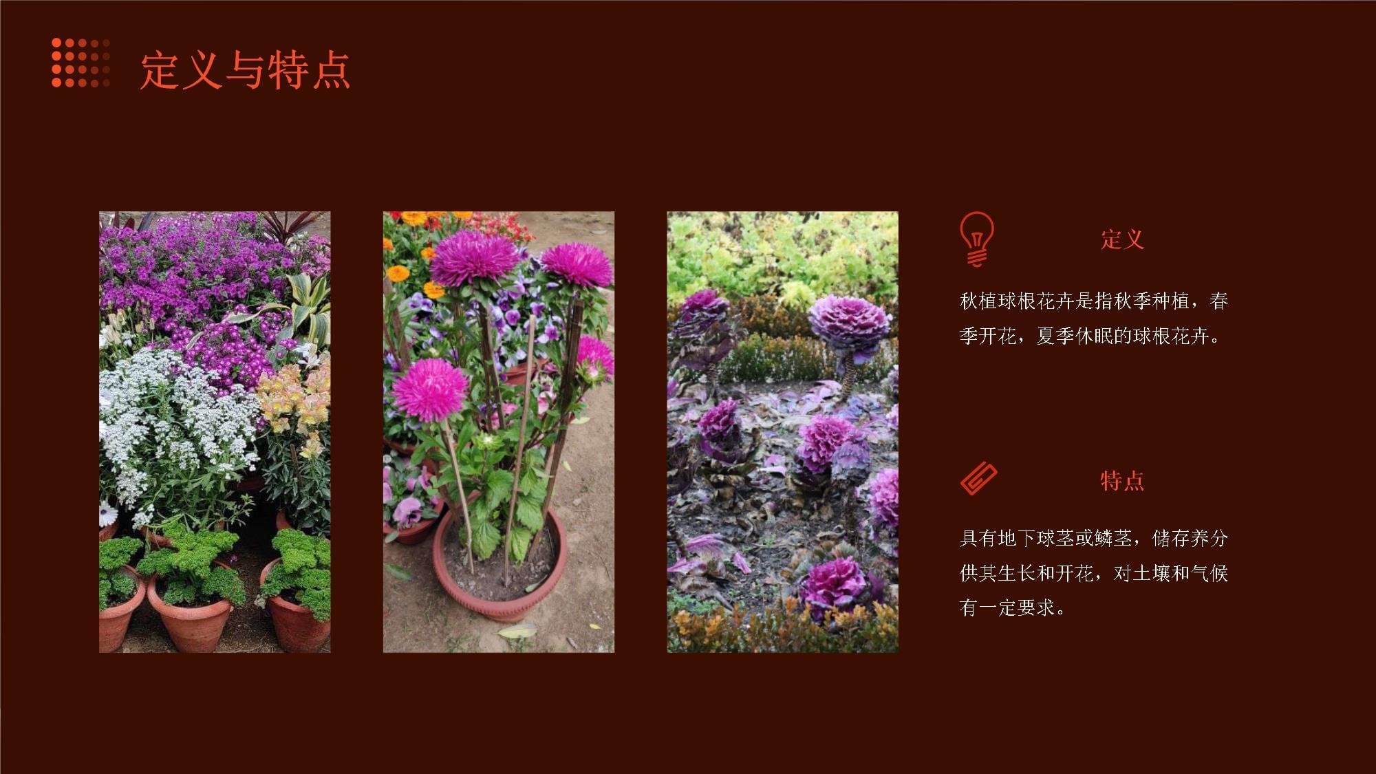 你们有没有发现最近爆火的《冬去春来》里最让人上头的CP竟然是一对相差27岁的“忘年配”？(图1)