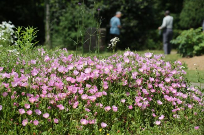 又有3人遇难……这些地方不要去→(图1)