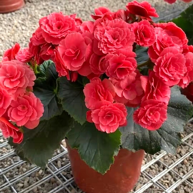 福建省湄洲湾港口发展中心(图1)