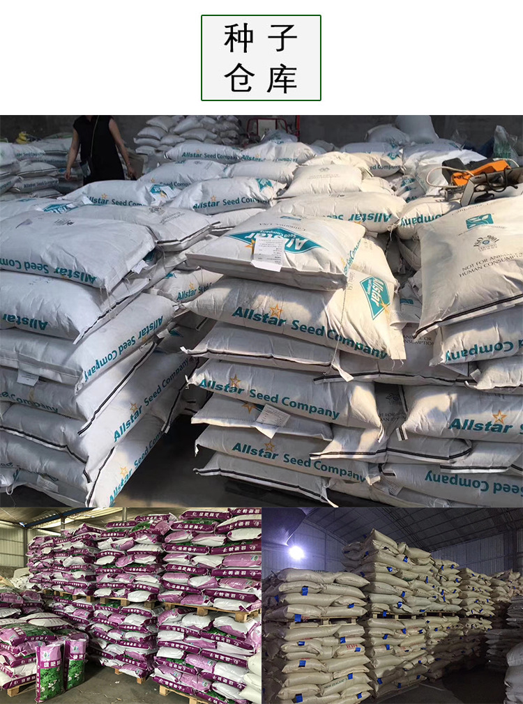 世界农化网(图1)