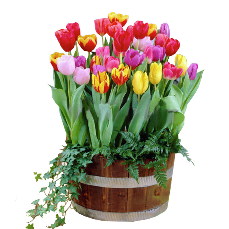 北京最新春游攻略：这6个宝藏地现在去正好！(图1)