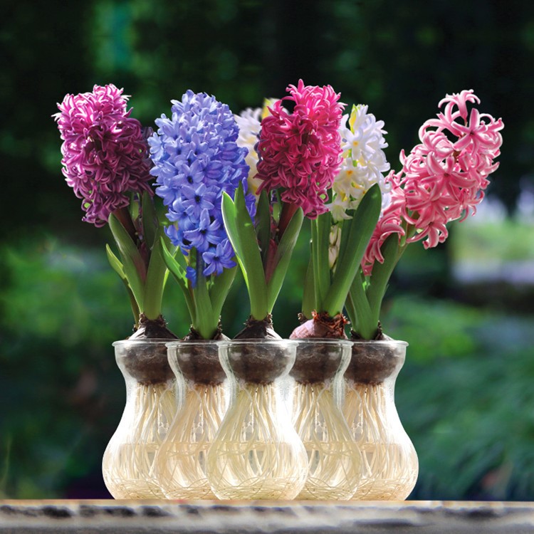 生物农药和生物防控(图1)