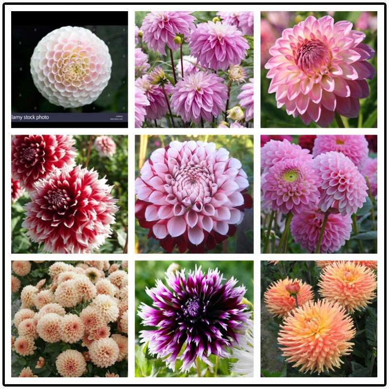 江门市住房和城乡建设局政府信息公开指南（2026年2月修订）(图1)