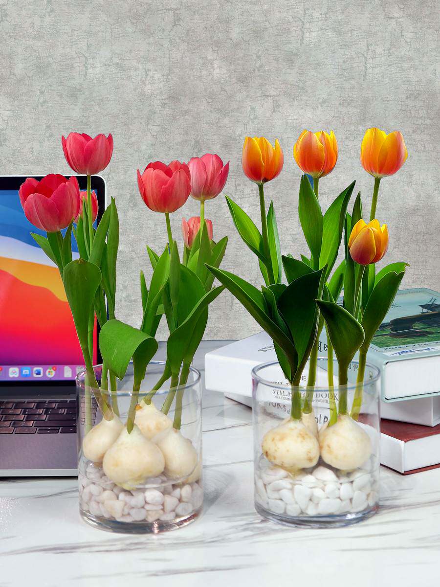 我在雄安“种”梦想(图1)