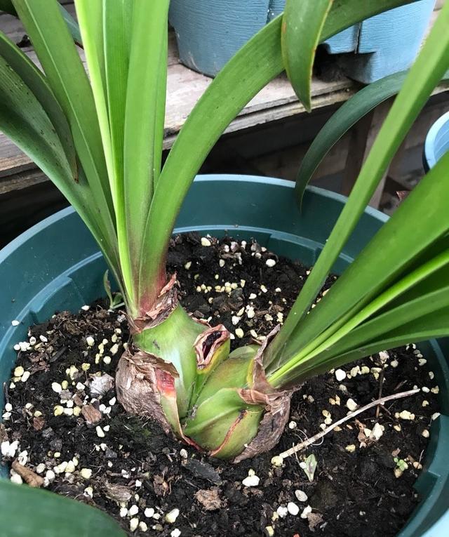 【逐梦未来】“问天体育月”阳光体育快乐篮球活动通知(图1)