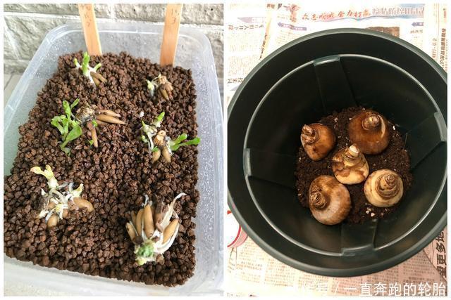 足协原主席陈戌源：中国足球的腐败是全方位的(图1)