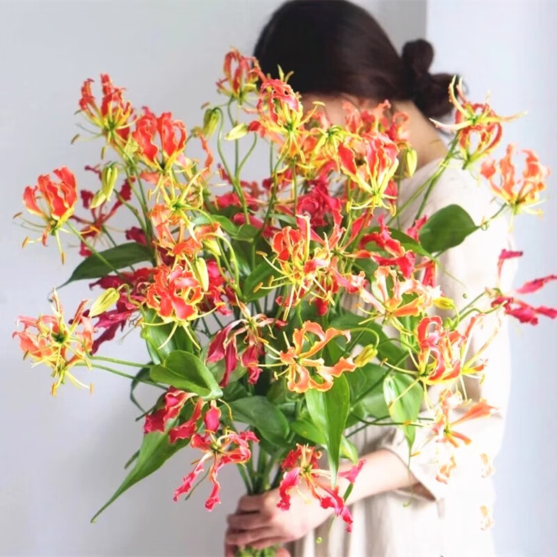 怡球资源(601388)(图1)