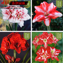 对话零重力贾思源：低空经济一场“边开车、边修路”的冒险(图1)