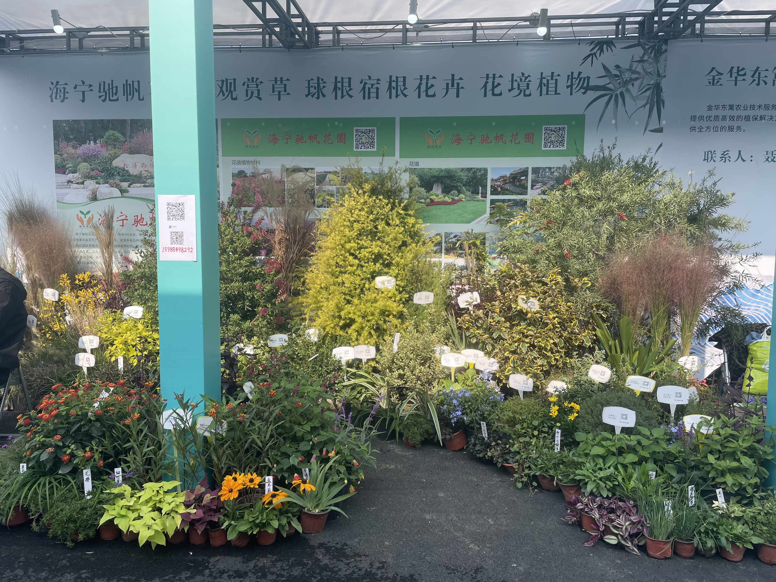 中国园艺学会球宿根花卉分会第十九届学术年会6月在沪举办(图1)