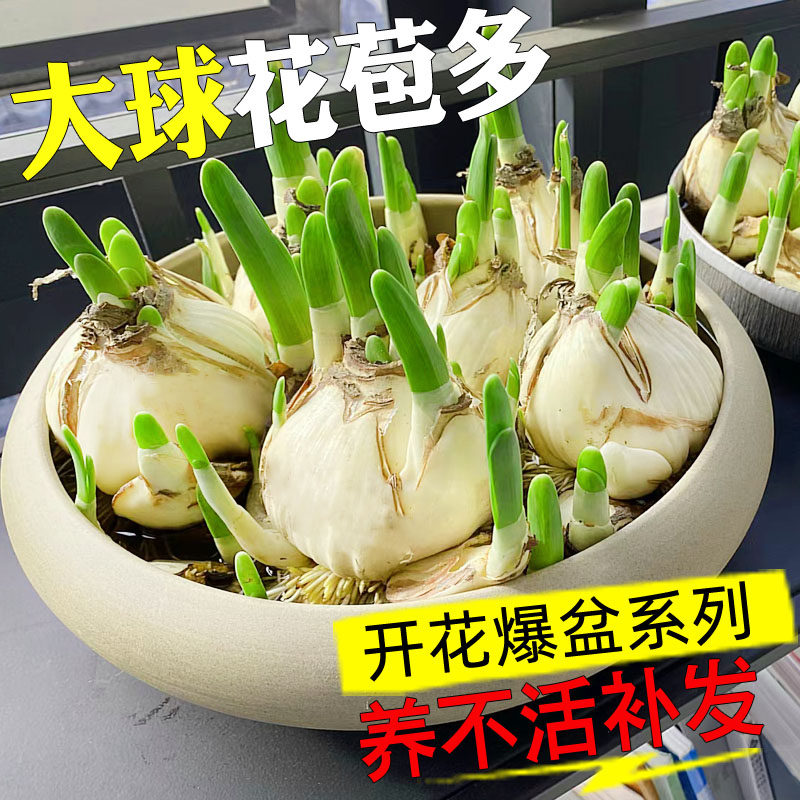 青岛市城阳区农业农村局(图1)