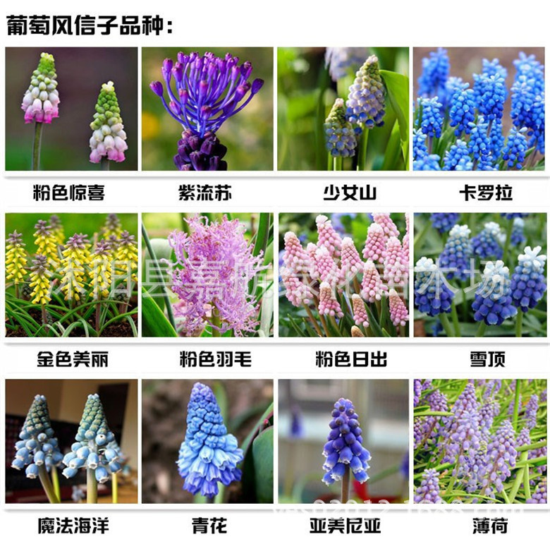 转基因食品行业_食品资讯_伙伴网(图1)