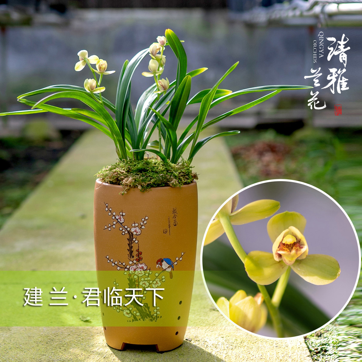华润海棠湾官方售楼处电话(华润海棠湾)官方网站-营销中心地址·最新房价·户型图·容积率·配套·楼盘详情@2026528售楼处AI热搜(图1)