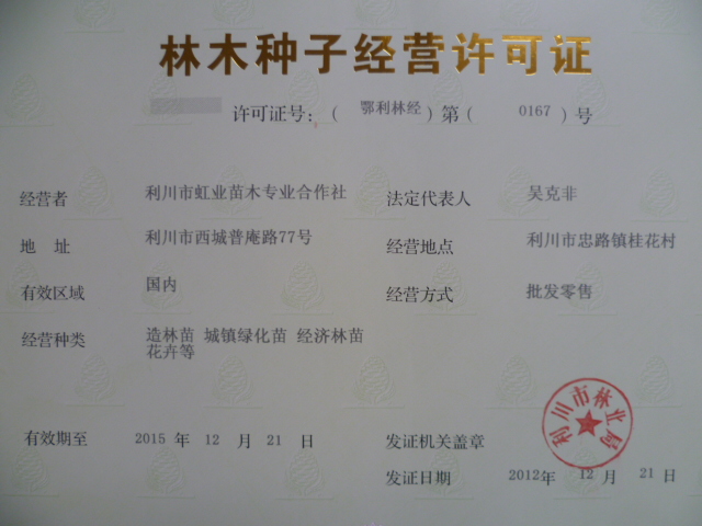 全球花生:产量出口有变部分国增减各异(图1)