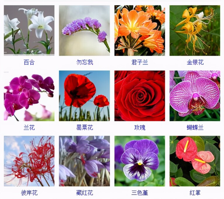 特色蔬菜生产全程机械化技术装备培训班在山东平度举办(图1)