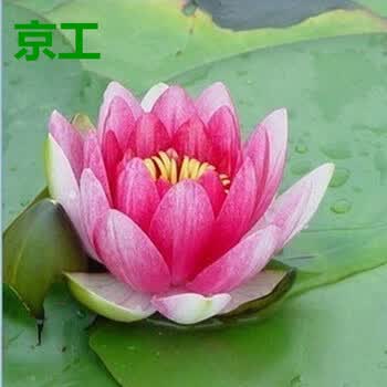 以案为鉴“鸣警钟”(图1)