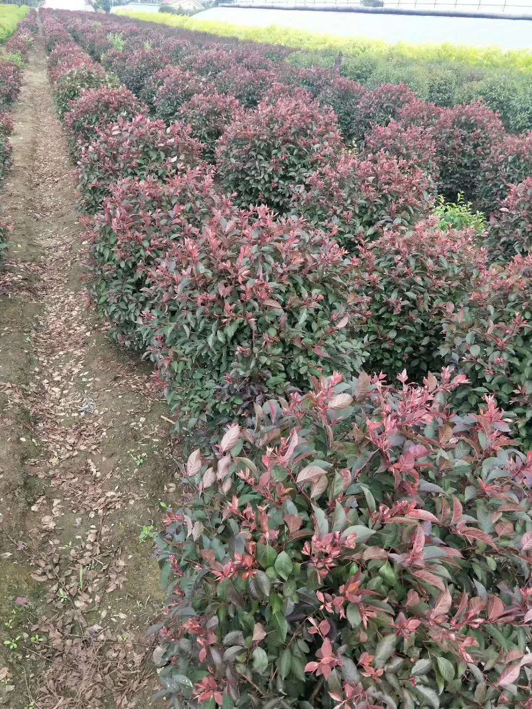 一带一路ETF易方达(图1)