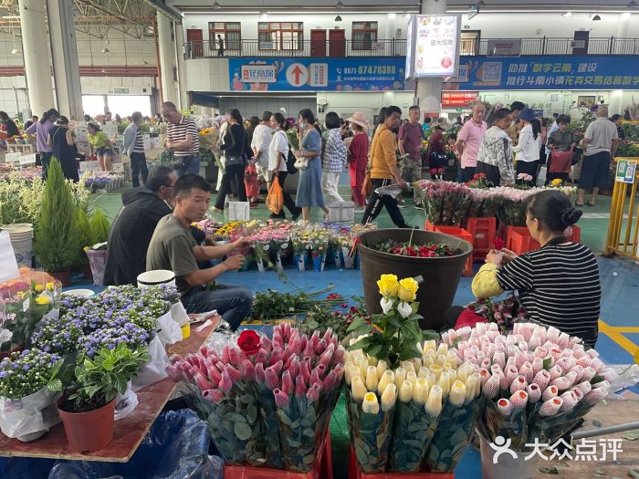 雄安智慧农业春日见闻:北斗定垄、AI种花(图1)