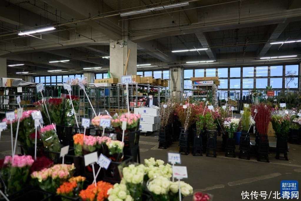 湖南省林业局(图1)