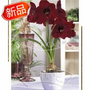LV中国申请1481件商标起底大牌维权产业链:有品牌“碰瓷式”诉讼律师按赔偿的10%抽成千元可买律师函(图1)