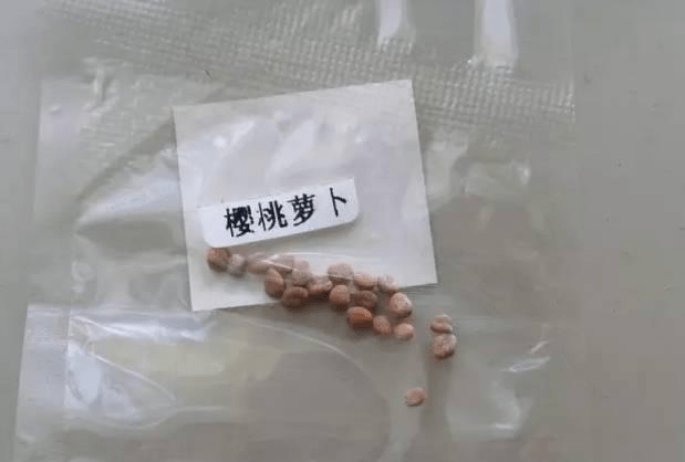 进口玫瑰和鲜花为什么那么贵？(图1)