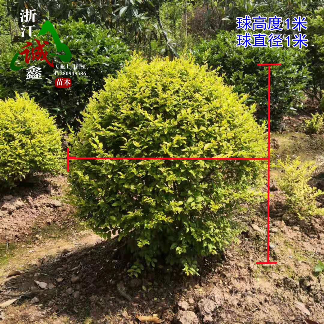 公共资源交易中心(图1)