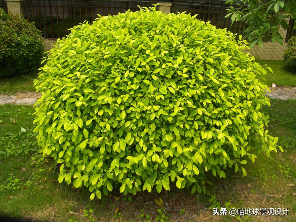 生产经理(图1)